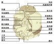 中山沙朗鎮冷卻水塔 港口鎮冷卻水塔