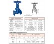 壽光襯氟閘閥     昌邑襯氟閘閥