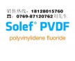 美國蘇威PVDF Solef 聚偏氟乙烯 PVDF