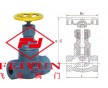 供應 內螺紋氨用截止閥 ，J11B