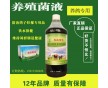 給鴿子飲水預防拉稀的是什么藥怎么購買