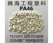 PA46加纖30%防火/取代荷蘭DSM/TE250F6