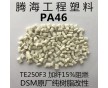 PA46加纖15%阻燃/取代荷蘭DSM/TE250F3