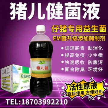 用什么養豬可以使豬吃的香拉屎不臭養豬em菌液用法