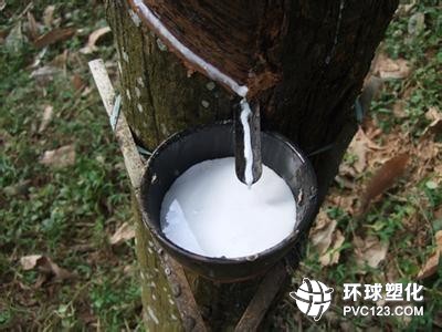 中泰簽署20萬噸天然膠采購協議